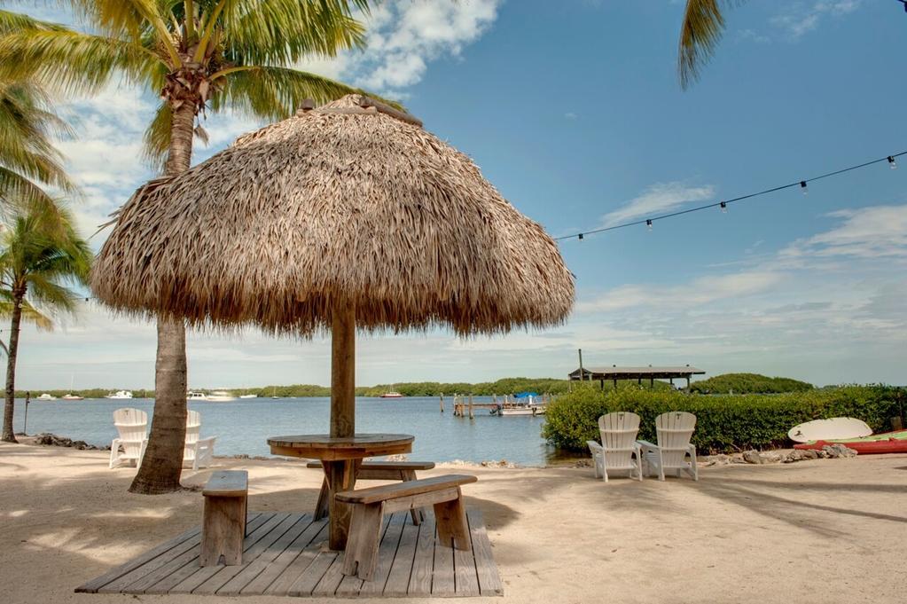Coconut Palm Inn Tavernier Natuur foto